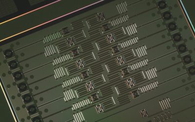 IBM-Q: testing a 50 qubit processor